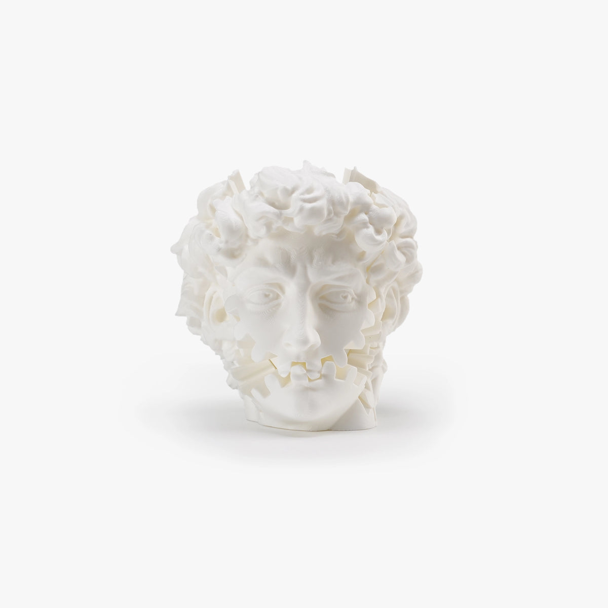 Top front view of David Head Gear Toy